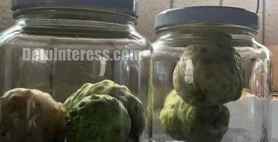 Propiedades del Noni